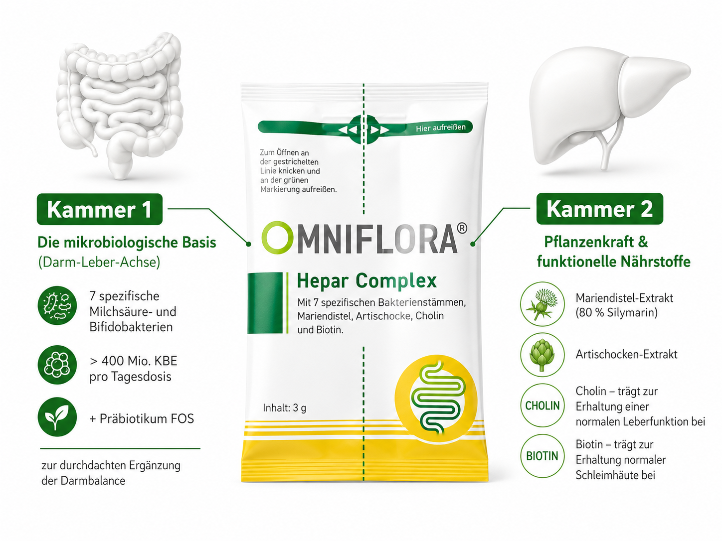 Das 2-Kammer-Sachet: Kammer 1 mit sieben Bakterienstämmen und präbiotischem Ballaststoff für den Darm, Kammer 2 mit Mariendistel, Artischocke, Cholin und Biotin für die Leber